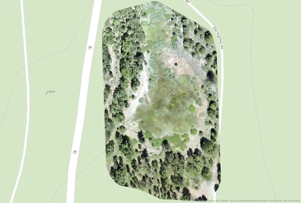 Drone orthomosaic of a forested parcel overlaid on a base map